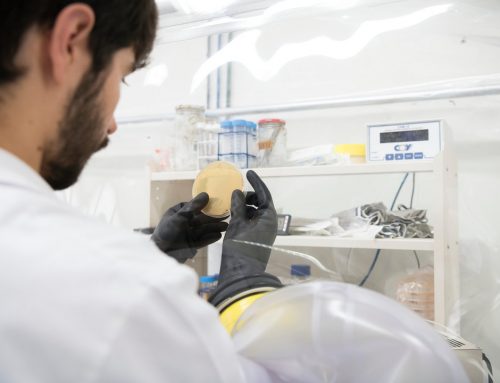 Conecta Industria destaca a Microviable como empresa que desarrolla soluciones a problemas de resistencias a antibióticos y tratamientos adyuvantes en oncología.