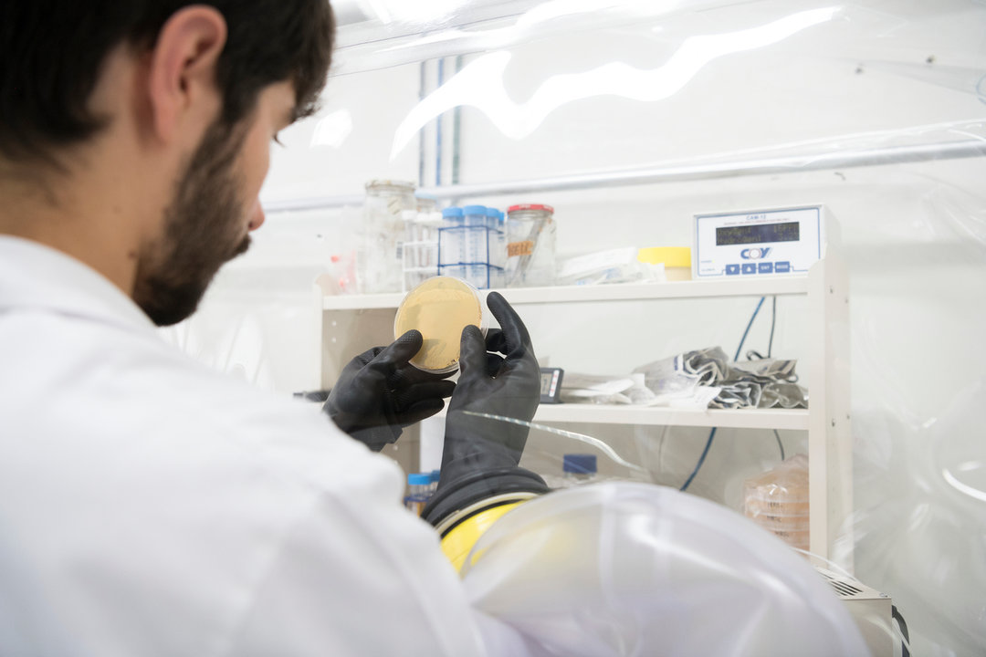 Conecta Industria destaca a Microviable como empresa que desarrolla soluciones a problemas de resistencias a antibióticos y tratamientos adyuvantes en oncología.